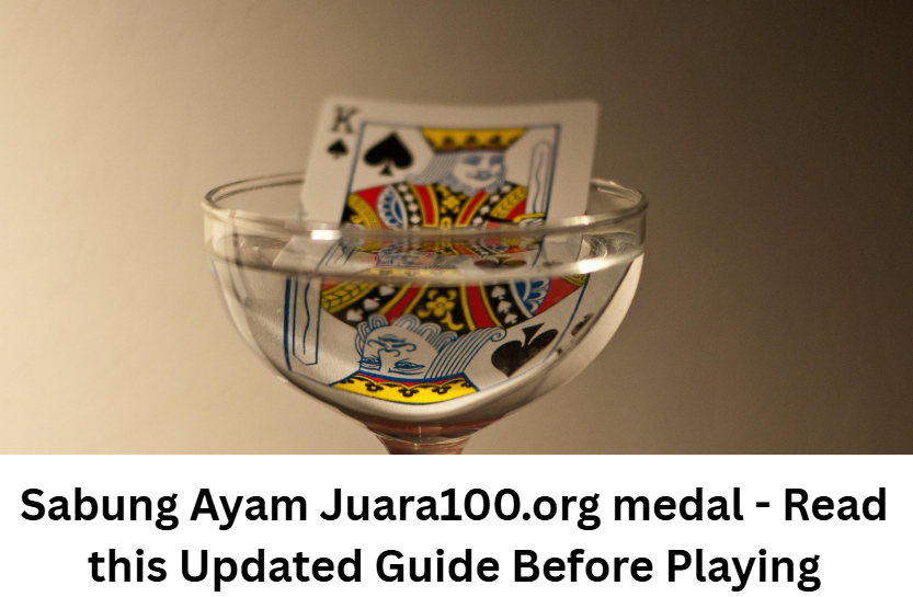 Sabung Ayam Juara100.org medal - Read this Updated Guide Before Playing