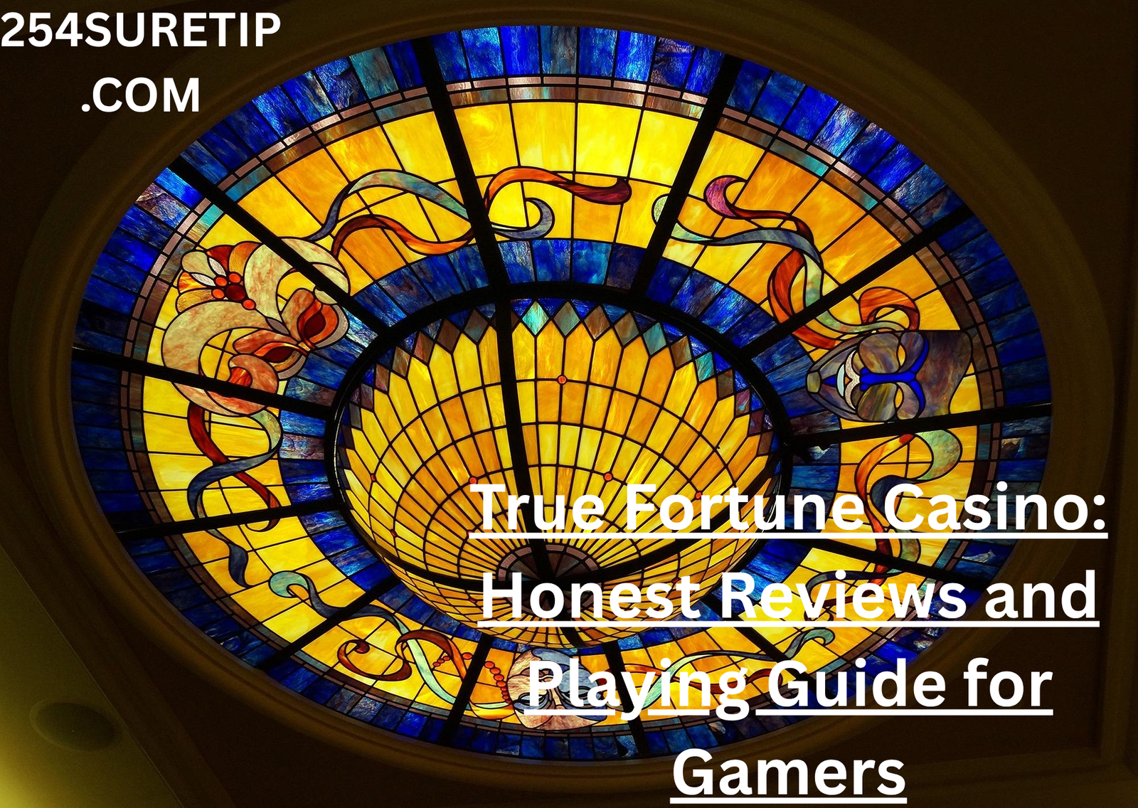 Read more about the article True Fortune Casino: Honest Reviews and Playing Guide for Gamers
