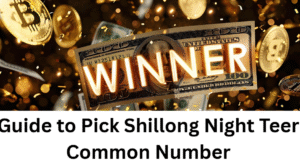 Read more about the article Guide to Pick Shillong Night Teer Common Number