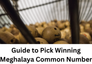 Read more about the article Guide to Pick Winning Meghalaya Common Number