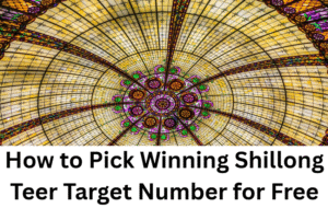 Read more about the article How to Pick Winning Shillong Teer Target Number for Free