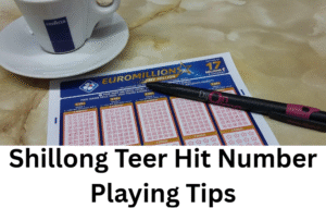 Read more about the article Shillong Teer Hit Number Playing Tips